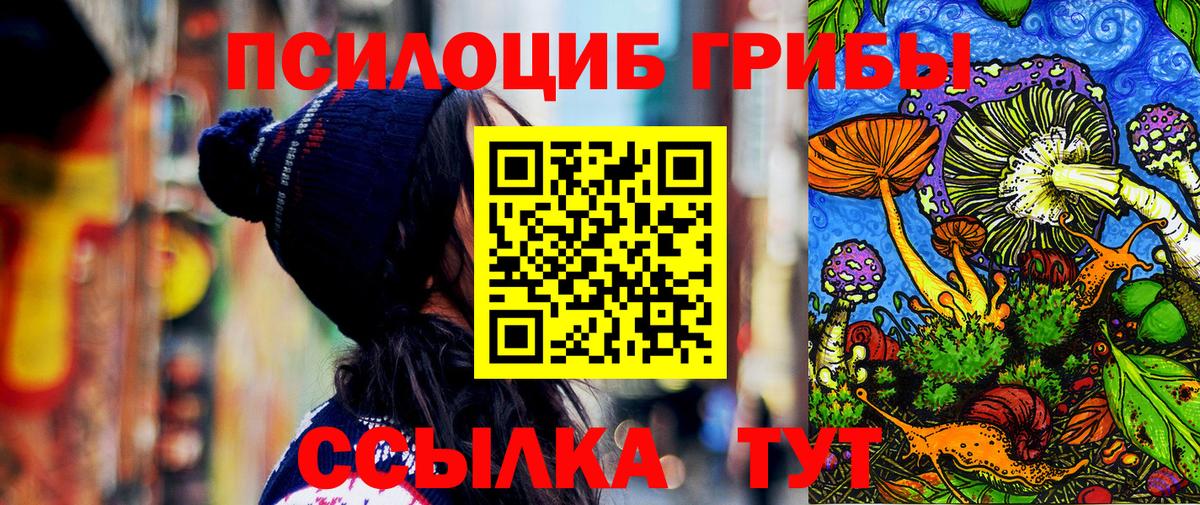 Галлюциногенные грибы прущие грибы  Вход с VPN  Якутск  Псилоцибиновые грибы MAGIC MUSHROOMS 